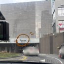 강아지미장원 | 광교 미용실 유월애미장원 수원광교점 디톡스매직