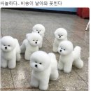 한나베이커리 | 홍대 위욜 콩닥콩닥 베이커리 변극쫄의 3인 후기