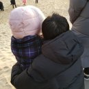 켄싱턴해변 네이버블로그