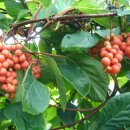 물돌민박 이미지