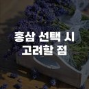 천지인의약품 | 홍삼 선택 시 고려할 점