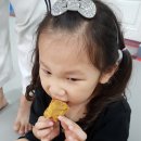 합기도 흑추관 이미지