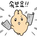 청정소갈비살