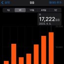 [여행] 퇴근 후 출국, 입국 후 출근 ｜상하이 로맨스 (1)