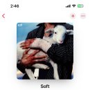 애플뮤직들아 2025년 10월 앨범인데 이미지