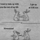 럭키상회 이미지