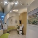 송파수치과의원 네이버블로그
