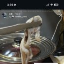 수산물직판장11호 이미지