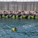 청정해역 이미지