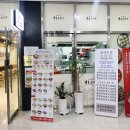 북촌손만두 기흥테라타워점에서 피냉면, 군만두 세트 먹은 후기