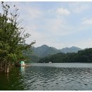 늘푸른낚시터 이미지