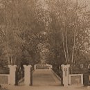 도안초등학교 이미지