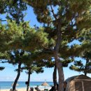 양양토담글램핑&펜션 이미지