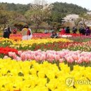 태안꽃화원