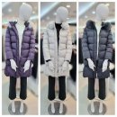 올리비아로렌 이미지