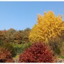 불곡리 미륵불 이미지