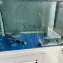 궁원복집 이미지