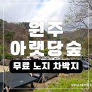 신산족구장 공중화장실 | 원주 아랫당숲 캠핑 후기 무료 노지 차박지