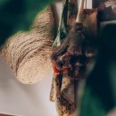 카페프리헷울산 네이버블로그