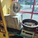 허브나무 이미지