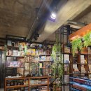 데블다이스 | 서면 보드카페 ‘데블 다이스’ 후기｜부산 보드카페 중 최고였어요