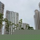 금비스크린골프 이미지