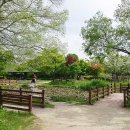 한밭수목원 이미지