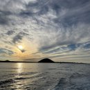 제주게스트하우스스테이튠 | [제주 감성숙소 후기] 제주도 게스트하우스 ‘스테이튠’
