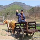 청천공원 이미지