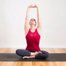 성인발레핏 이미지