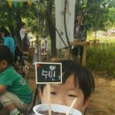 수민목장 이미지