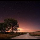 좋은나무 이미지