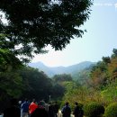 송도삼절