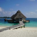 학습심리학 이미지