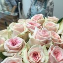 색연필 꽃그림, 보타니컬 아트 이미지