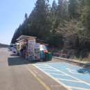 남조로 사려니숲길입구 이미지