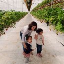 다연농장 이미지