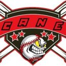 cane스포츠의 케인블랙입니다!! 이미지