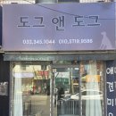 도그앤 도그 | 도그앤도그
