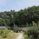 난곡동-7 | 강릉난곡동카페 한옥의 멋스러움 서지초가뜰