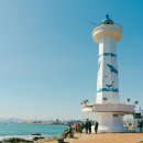 바다나라식당 이미지