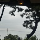 모네의 여름 이미지