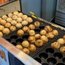 타코파파 이미지