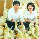 개울농장 이미지