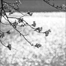 번암동화로 이미지