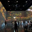 숲 | 가을 화담숲 후기✔️ 그리고 고향정육식당🐖