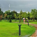 장자호수공원 장미터널 이미지