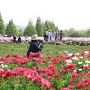 황강생태공원1 이미지