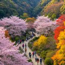 보산동 외국인관광특구 특화거리 | [핫플 여행 코스] 경기도 동두천시 핫플 여행 코스 추천 가이드 (2025년 최신)