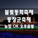 [클릭하세요] 늦잠 Ok! 오후에 출발하여 야간투어까지...! [포천 불빛동화축제 + 동장군축제 + 산사원] 이미지